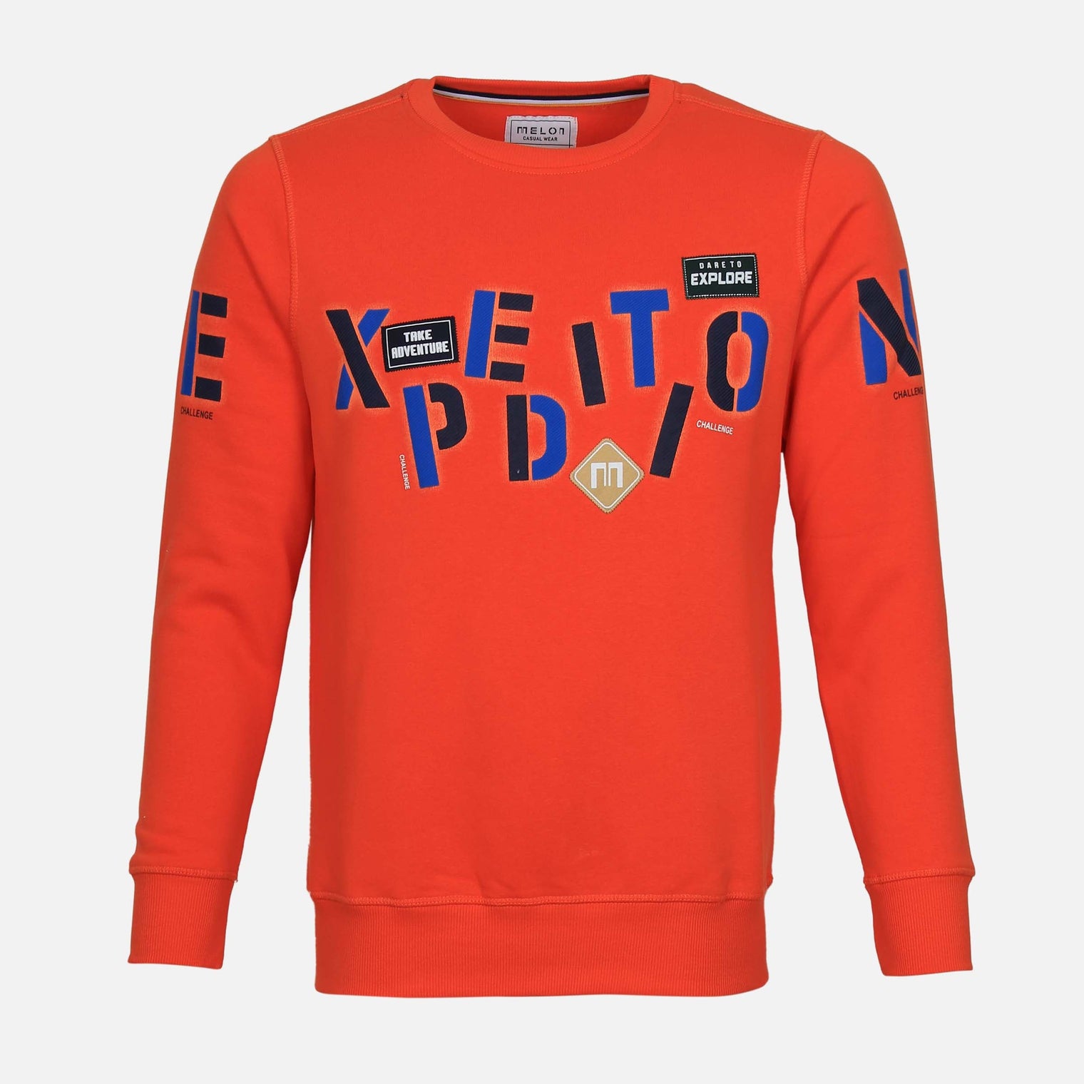 MEN REGULAR FIT PULLOVER ROUND NECK