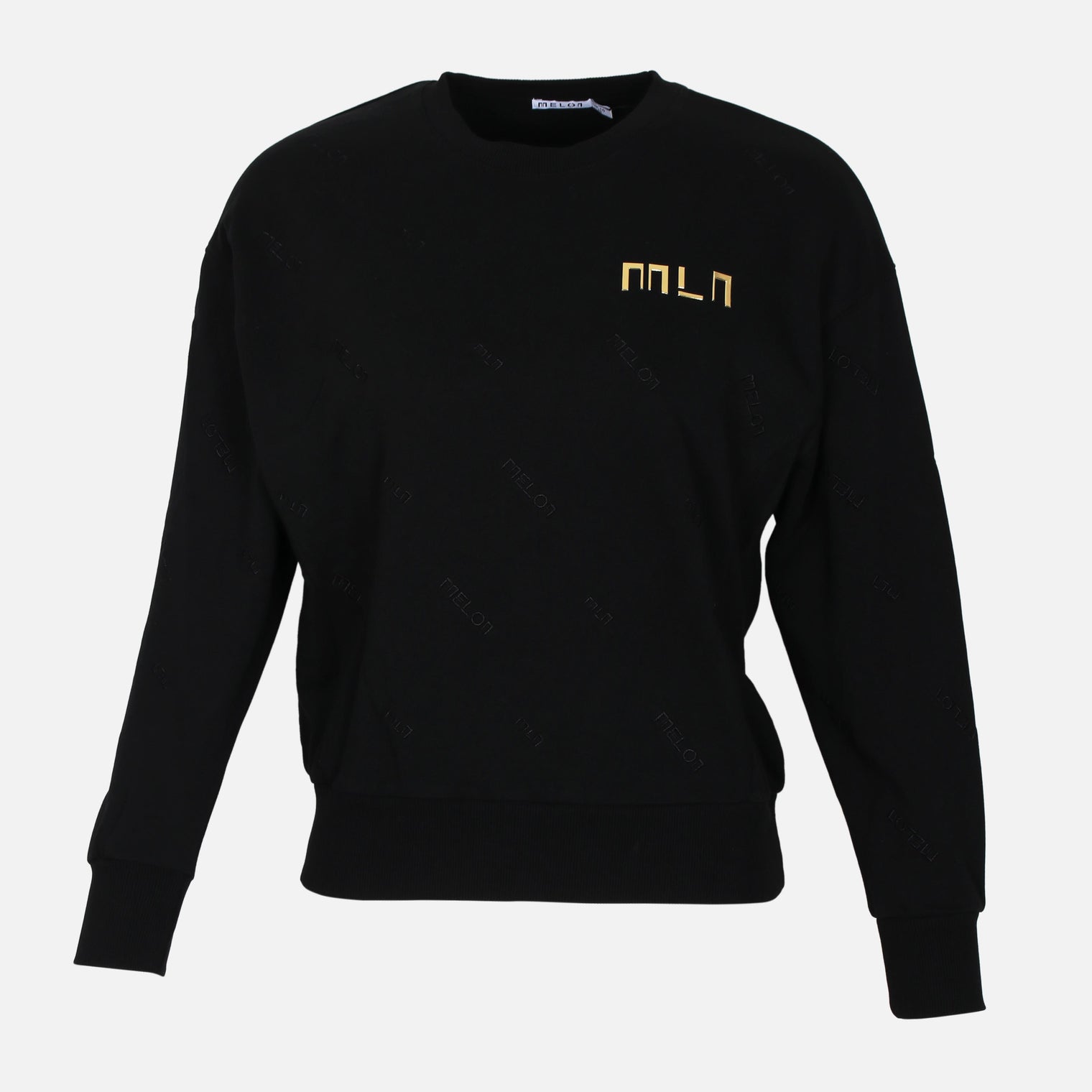 LADIES SWEATSHIRT