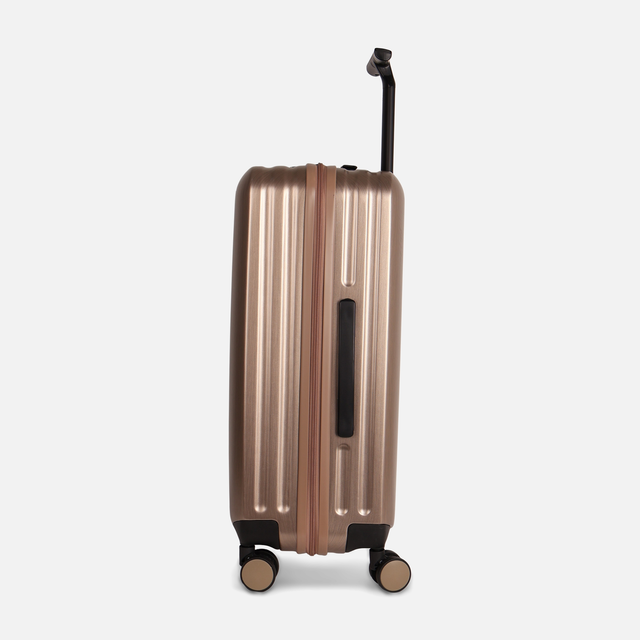 Hard Shell Spinner Trolley Bag