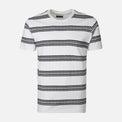 MEN T-SHIRT ROUND NECK REGULAR FIT