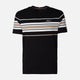 MEN T-SHIRT ROUND NECK PLUS FIT