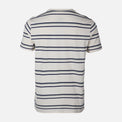 MEN T-SHIRT ROUND NECK REGULAR FIT