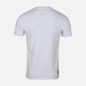 MEN T-SHIRT V-NECK PLUS FIT