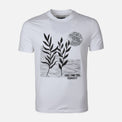 MEN T-SHIRT ROUND NECK REGULAR FIT