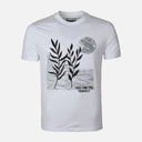 MEN T-SHIRT ROUND NECK REGULAR FIT