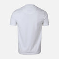 MEN T-SHIRT ROUND NECK REGULAR FIT