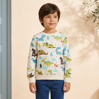 Boys Pullover